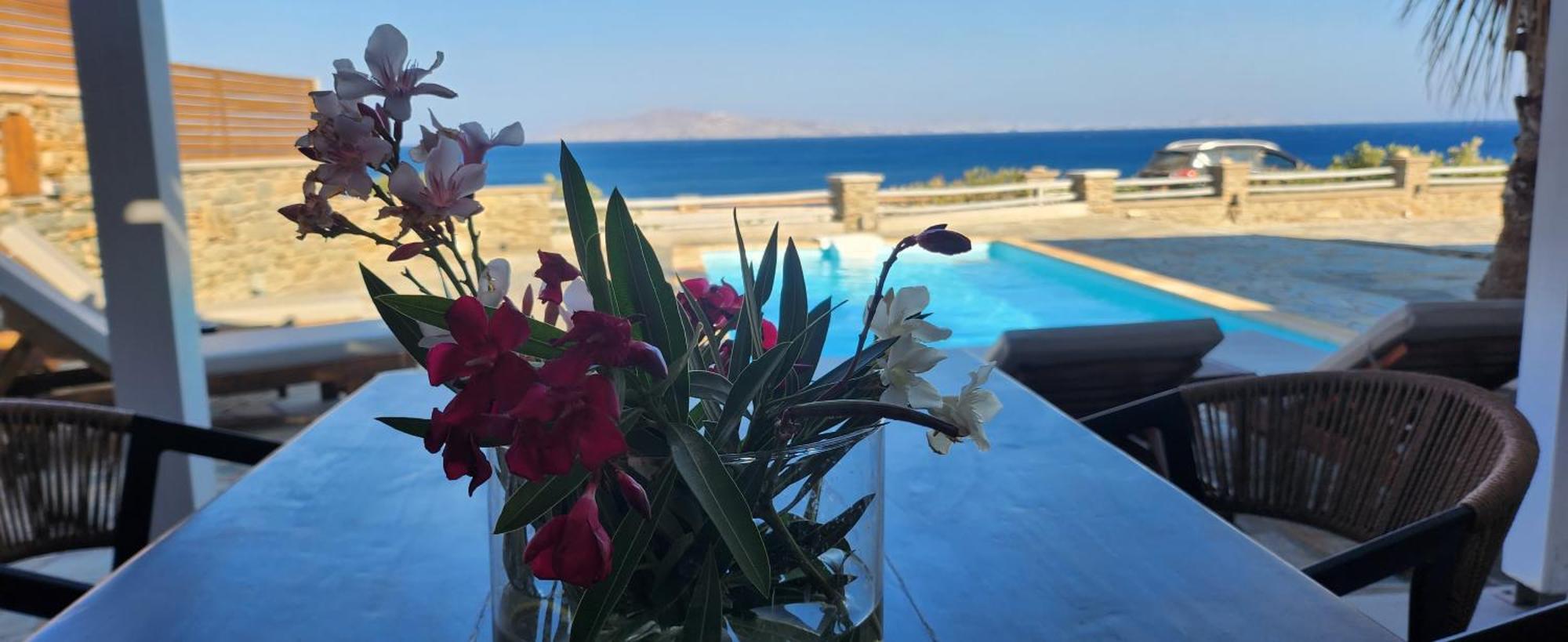 Santamare Villa Tinos Exterior photo